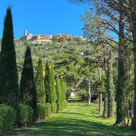Un Angolo Nel Borgo Apartment